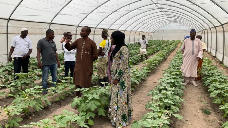 ACTIVITÉS CONSEIL RÉGIONAL DU TCHOLOGO /DÉLÉGATION GÉNÉRALE DU MINISTÈRE DU PLAN ET DU DÉVELOPPEMENT.