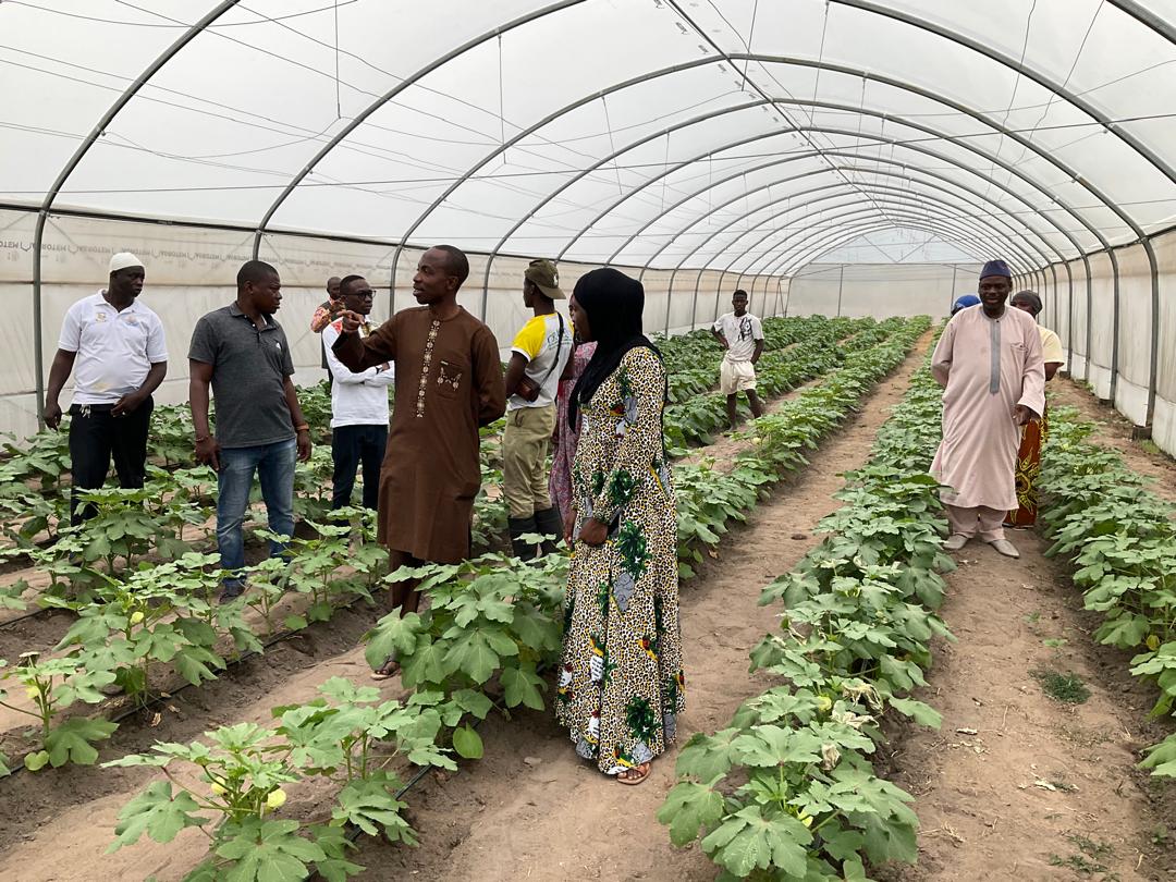 ACTIVITÉS CONSEIL RÉGIONAL DU TCHOLOGO /DÉLÉGATION GÉNÉRALE DU MINISTÈRE DU PLAN ET DU DÉVELOPPEMENT.